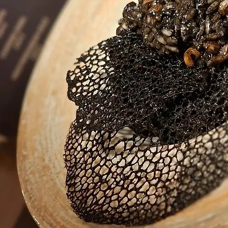 Hotel Hotel Kali
